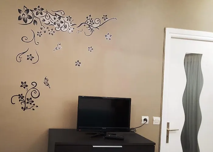 Centre, Superbe Proche 尼斯